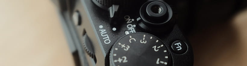 自由马带你去旅游