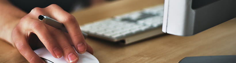 自由马带你去旅游